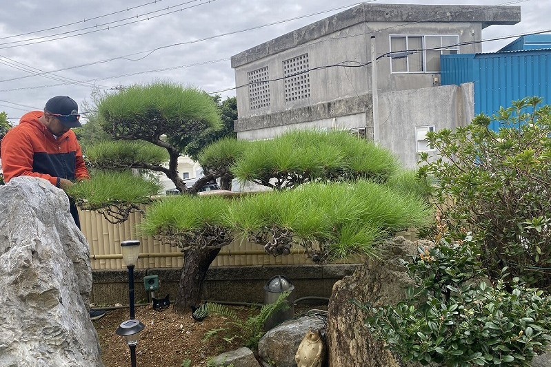 仙空造園の幅広い造園技術